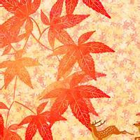 🍁绝了!唯美QQ枫叶头像大全 其它头像 第41张 🍁绝了!唯美QQ枫叶头像大全 其它头像 第41张