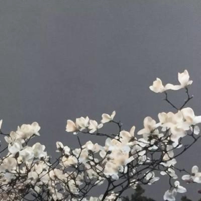 狠狠心动！唯美清新图片大集合 其它头像 第14张