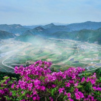 狠狠码住！绝美漂亮风景头像大集合🌅 风景头像 第26张