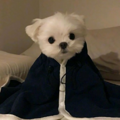 💕绝美情侣头像大集合,甜度超标啦 情侣头像 第10张 💕绝美情侣头像大集合,甜度超标啦 情侣头像 第10张