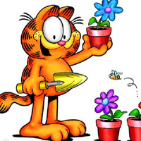 萌翻啦!加菲猫微信头像来袭🐱 其它头像 第41张 萌翻啦!加菲猫微信头像来袭🐱 其它头像 第41张