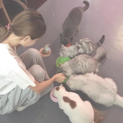 超绝！抱猫咪的清新女生头像来袭 女生头像 第4张