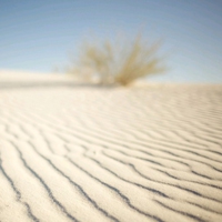 🌵超全微信沙漠头像大集合来啦! 风景头像 第10张 🌵超全微信沙漠头像大集合来啦! 风景头像 第10张