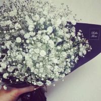 超美的静物一束花头像,快来收藏 其它头像 第21张 超美的静物一束花头像,快来收藏 其它头像 第21张