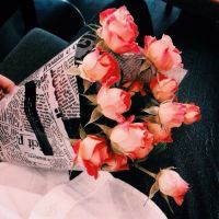 超美的静物一束花头像,快来收藏 其它头像 第14张 超美的静物一束花头像,快来收藏 其它头像 第14张