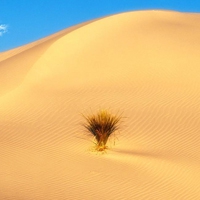 🌵超全微信沙漠头像大集合来啦! 风景头像 第11张 🌵超全微信沙漠头像大集合来啦! 风景头像 第11张