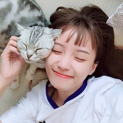 超绝！抱猫咪的清新女生头像来袭 女生头像 第17张
