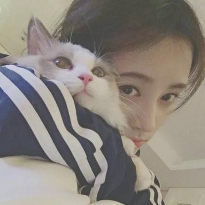 超绝！抱猫咪的清新女生头像来袭 女生头像 第20张