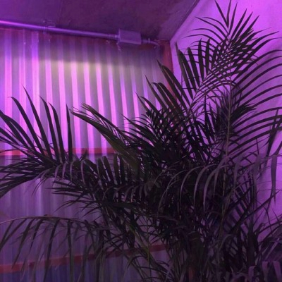被紫色背景头像狠狠拿捏啦 其它头像 第7张 被紫色背景头像狠狠拿捏啦 其它头像 第7张