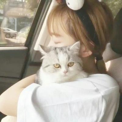 超绝！抱猫咪的清新女生头像来袭 女生头像 第2张