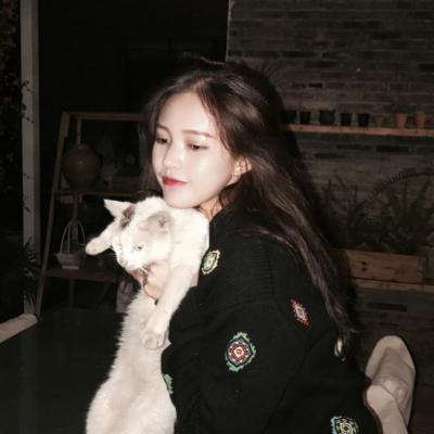 超绝！抱猫咪的清新女生头像来袭 女生头像 第9张