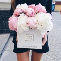 超美的静物一束花头像,快来收藏 其它头像 第20张 超美的静物一束花头像,快来收藏 其它头像 第20张