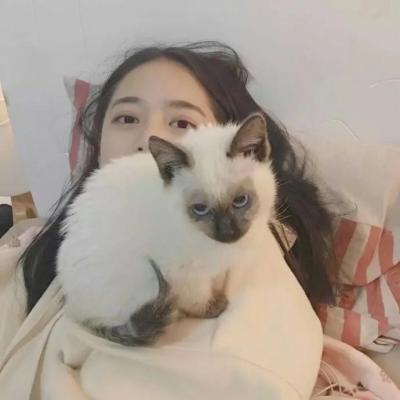超绝！抱猫咪的清新女生头像来袭 女生头像 第3张
