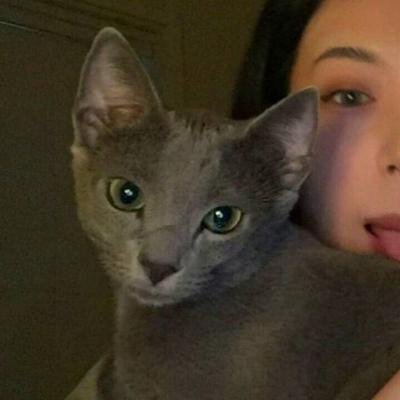 超绝！抱猫咪的清新女生头像来袭 女生头像 第14张