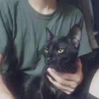 被狠狠拿捏!抱猫的男生头像太绝啦 男生头像 第6张 被狠狠拿捏!抱猫的男生头像太绝啦 男生头像 第6张