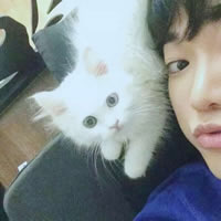 被狠狠拿捏!抱猫的男生头像太绝啦 男生头像 第15张 被狠狠拿捏!抱猫的男生头像太绝啦 男生头像 第15张