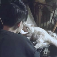 被狠狠拿捏!抱猫的男生头像太绝啦 男生头像 第11张 被狠狠拿捏!抱猫的男生头像太绝啦 男生头像 第11张
