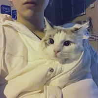 被狠狠拿捏!抱猫的男生头像太绝啦 男生头像 第10张 被狠狠拿捏!抱猫的男生头像太绝啦 男生头像 第10张