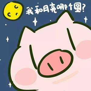 超绝!可爱猪头像搞笑图片来袭 其它头像 第6张 超绝!可爱猪头像搞笑图片来袭 其它头像 第6张