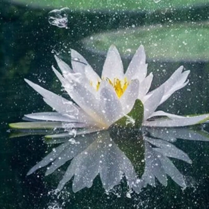 春天绝美风景头像来啦,爱了! 风景头像 第31张 春天绝美风景头像来啦,爱了! 风景头像 第31张