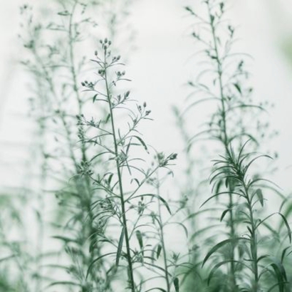 超意境唯美风景头像,被狠狠拿捏住 风景头像 第13张 超意境唯美风景头像,被狠狠拿捏住 风景头像 第13张