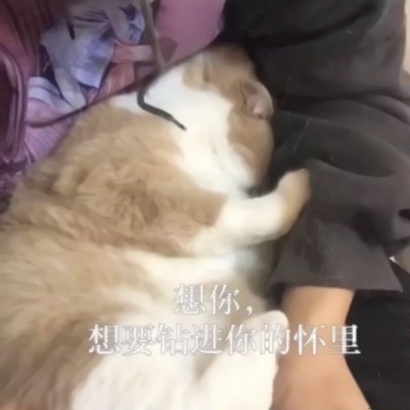 萌娃必备!小孩子带字头像超可爱来袭 其它头像 第18张 萌娃必备!小孩子带字头像超可爱来袭 其它头像 第18张