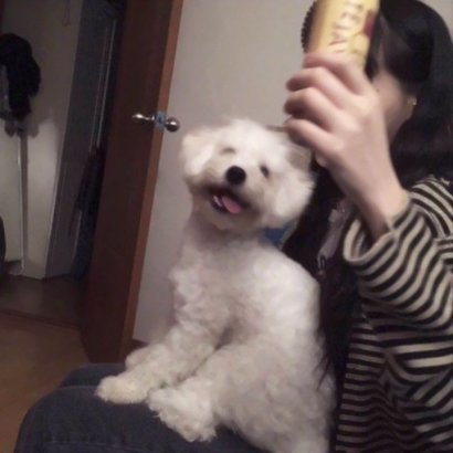 超爱!韩国气质女生头像来袭 女生头像 第28张 超爱!韩国气质女生头像来袭 女生头像 第28张