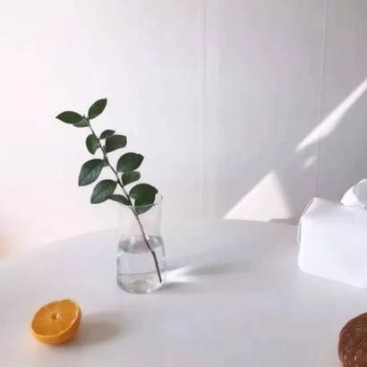被这组好看的唯美静物头像美哭啦 其它头像 第17张