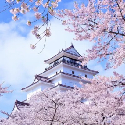 春天绝美风景头像来啦,爱了! 风景头像 第10张 春天绝美风景头像来啦,爱了! 风景头像 第10张