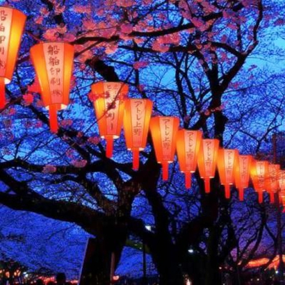 绝美花朵图片头像来袭,太仙啦! 其它头像 第11张 绝美花朵图片头像来袭,太仙啦! 其它头像 第11张