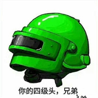 超丰富的刺激战场头像图片大全 其它头像 第6张