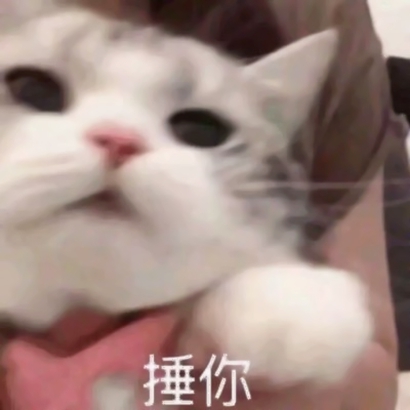 萌娃可爱表情包带字头像图片 其它头像 第13张