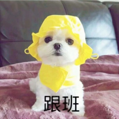 闺蜜可爱一左一右头像 友情头像 第4张 闺蜜可爱一左一右头像 友情头像 第4张