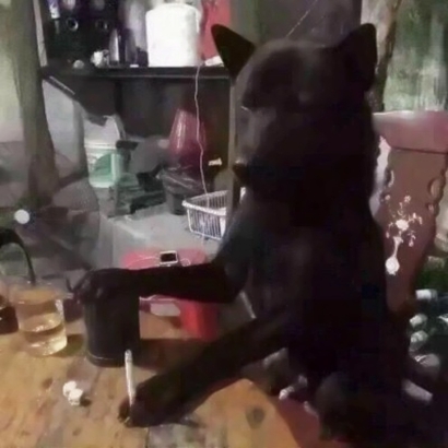 被这组搞怪犯二情侣头像笑晕!快码住 情侣头像 第4张 被这组搞怪犯二情侣头像笑晕!快码住 情侣头像 第4张