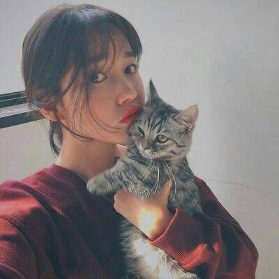 超有爱!怀里抱猫的女生头像来袭 女生头像 第6张 超有爱!怀里抱猫的女生头像来袭 女生头像 第6张