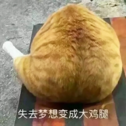 软萌暴击!超可爱的情侣猫咪头像 情侣头像 第14张 软萌暴击!超可爱的情侣猫咪头像 情侣头像 第14张