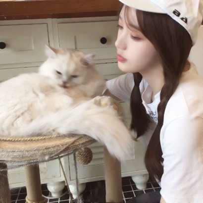 女生抱猫头像合集:软萌猫咪 + 甜酷女生,适配所有场景 女生头像 第10张 女生抱猫头像合集:软萌猫咪 + 甜酷女生,适配所有场景 女生头像 第10张