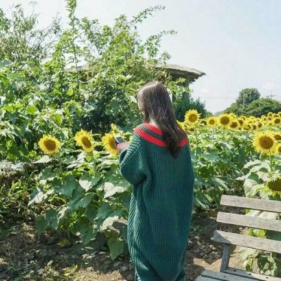小清新森系女生头像:以自然风景为底,温柔藏不住 女生头像 第10张 小清新森系女生头像:以自然风景为底,温柔藏不住 女生头像 第10张