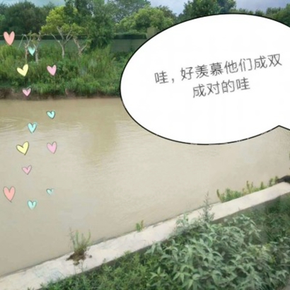 高甜!一左一右可爱动物情侣头像合集,情侣必备款 情侣头像 第9张 高甜!一左一右可爱动物情侣头像合集,情侣必备款 情侣头像 第9张