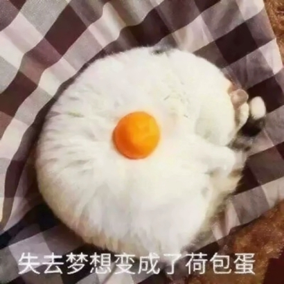 软萌暴击!超可爱的情侣猫咪头像 情侣头像 第13张 软萌暴击!超可爱的情侣猫咪头像 情侣头像 第13张