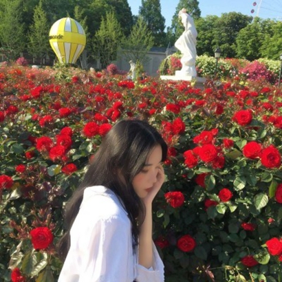 温柔到骨子里!微信头像女生花草合集,百搭不挑风格 女生头像 第28张 温柔到骨子里!微信头像女生花草合集,百搭不挑风格 女生头像 第28张