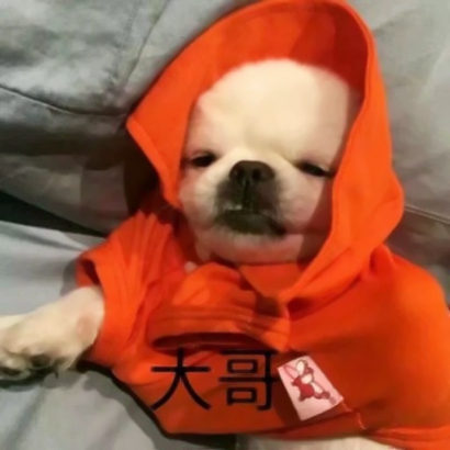 高甜!一左一右可爱动物情侣头像合集,情侣必备款 情侣头像 第12张 高甜!一左一右可爱动物情侣头像合集,情侣必备款 情侣头像 第12张