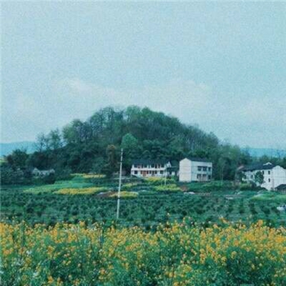 淡雅唯美风景头像|小众意境款,避开烂大街,彰显独特品味 风景头像 第28张 淡雅唯美风景头像|小众意境款,避开烂大街,彰显独特品味 风景头像 第28张