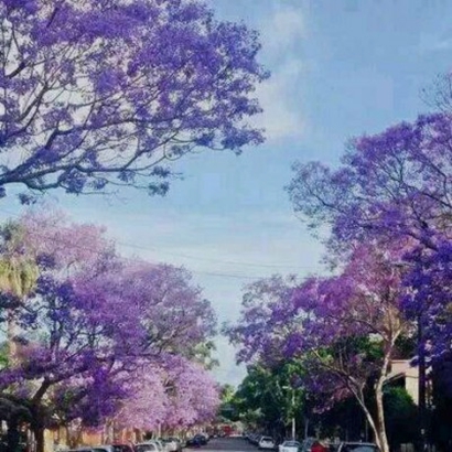 淡雅唯美风景头像|小众意境款,避开烂大街,彰显独特品味 风景头像 第20张 淡雅唯美风景头像|小众意境款,避开烂大街,彰显独特品味 风景头像 第20张