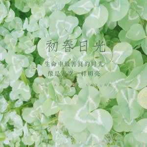 微信头像图片静物精选：小众高级感，适合文艺党 / 极简控 风景头像 第14张