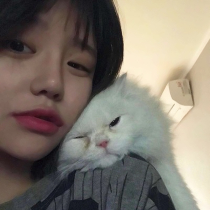 女生抱猫头像合集:软萌猫咪 + 甜酷女生,适配所有场景 女生头像 第15张 女生抱猫头像合集:软萌猫咪 + 甜酷女生,适配所有场景 女生头像 第15张