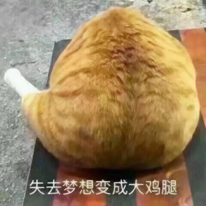 微信可爱情侣头像一左一右，CP感直接拉满！ 情侣头像 第8张