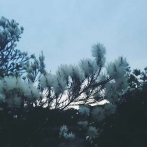 超优美的微信风景头像推荐 风景头像 第13张 超优美的微信风景头像推荐 风景头像 第13张