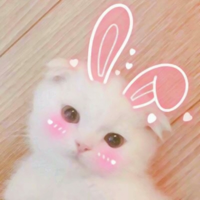 萌化啦！超可爱猫咪头像大全 动物头像 第6张