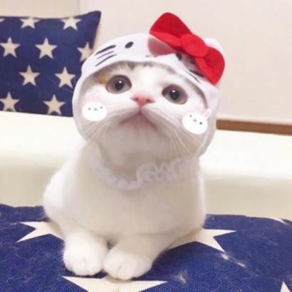 萌萌哒情侣猫猫头像大全|可爱猫咪CP款 情侣头像 第15张 萌萌哒情侣猫猫头像大全|可爱猫咪CP款 情侣头像 第15张